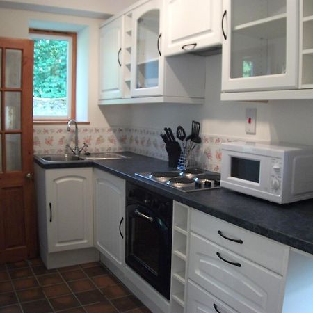 Bryn Cottage Llandderfel Luaran gambar