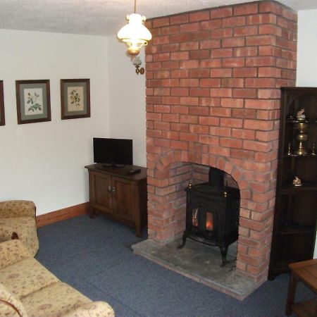 Bryn Cottage Llandderfel Luaran gambar
