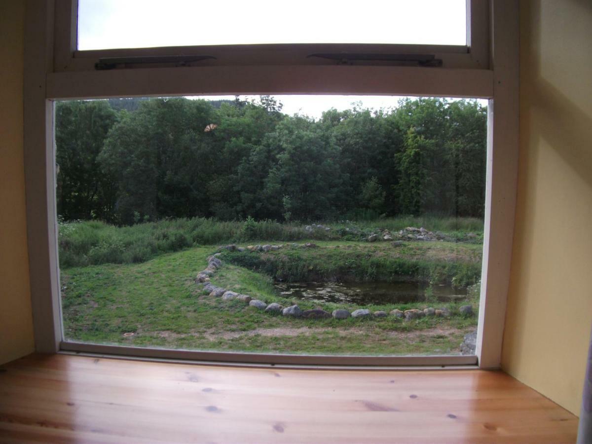 Bryn Cottage Llandderfel Luaran gambar