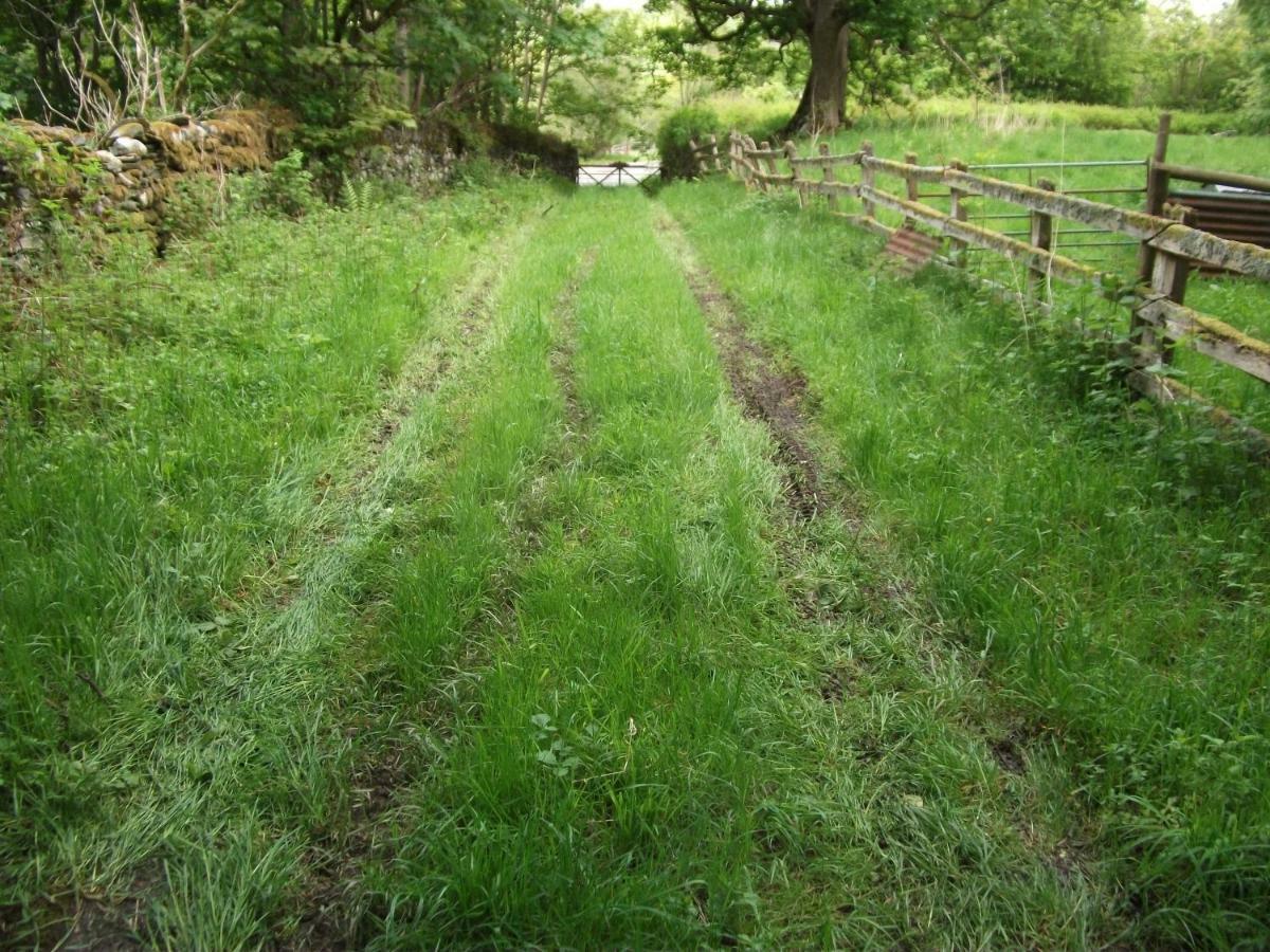 Bryn Cottage Llandderfel Luaran gambar